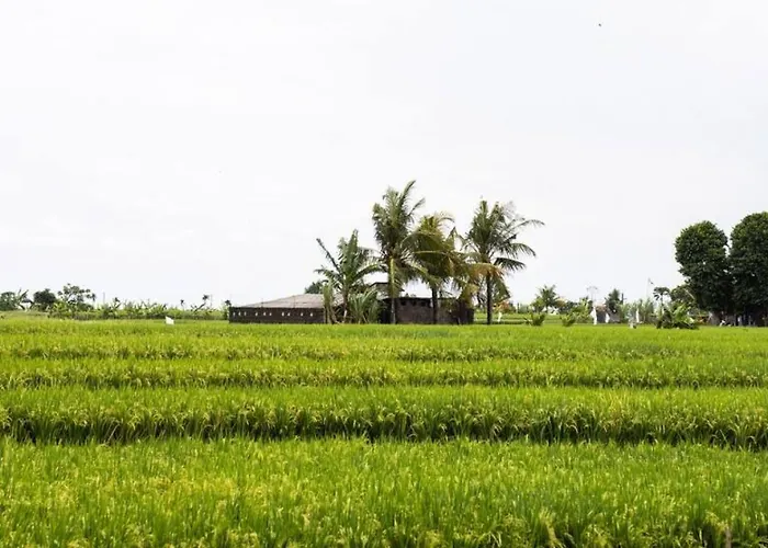 Holiday home Seseh Townhouse - 2 Bedroom Ricefield House